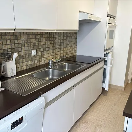 Moderne Avec Terrasse Et Garage A - Fr-1-494-65